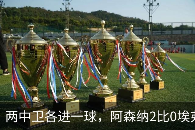 两中卫各进一球，阿森纳2比0埃弗顿追平曼城积分