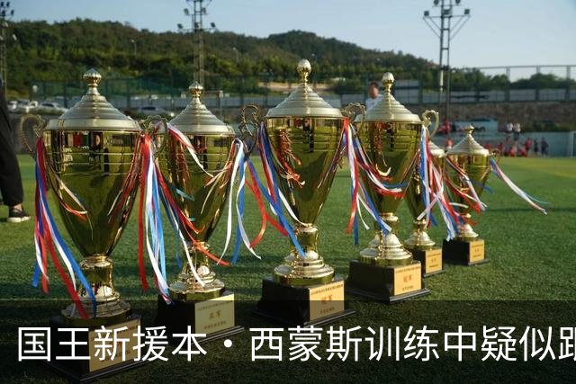 国王新援本·西蒙斯训练中疑似跟腱撕裂，赛季未开先报销