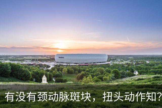 有没有颈动脉斑块，扭头动作知？有颈动脉斑块人，扭头会有4异常