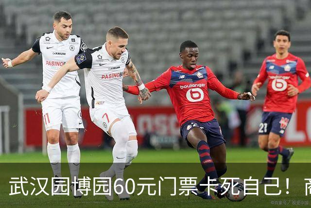 武汉园博园60元门票卡死自己！商铺跑光，几十亿投资竟败给一张票