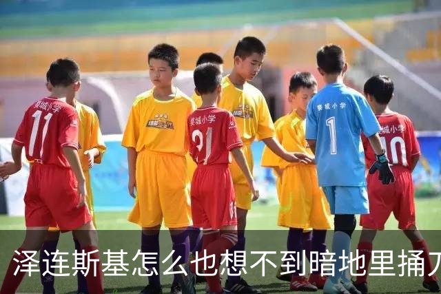 泽连斯基怎么也想不到暗地里捅刀的竟然是欧洲。