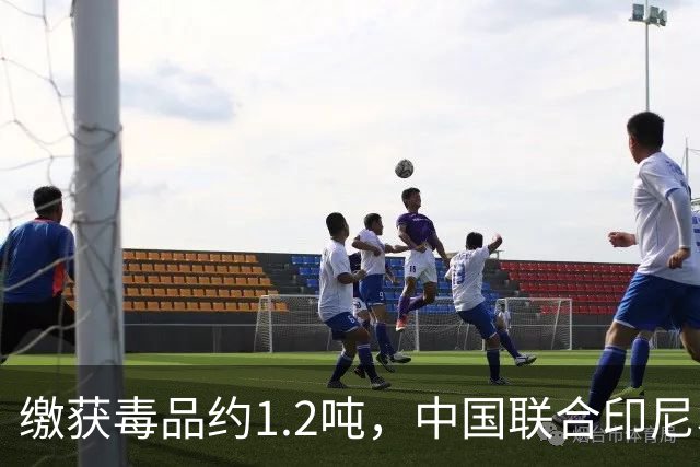 缴获毒品约1.2吨，中国联合印尼、马来西亚破获一起特大跨国制贩毒案