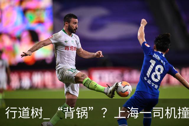 行道树 “背锅”？上海一司机撞树后主张树木全责，结果来了