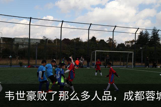 韦世豪败了那么多人品，成都蓉城是该夺不了冠