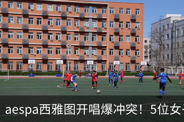 aespa西雅图开唱爆冲突！5位女子拖地互殴、压制 冲击影片疯传